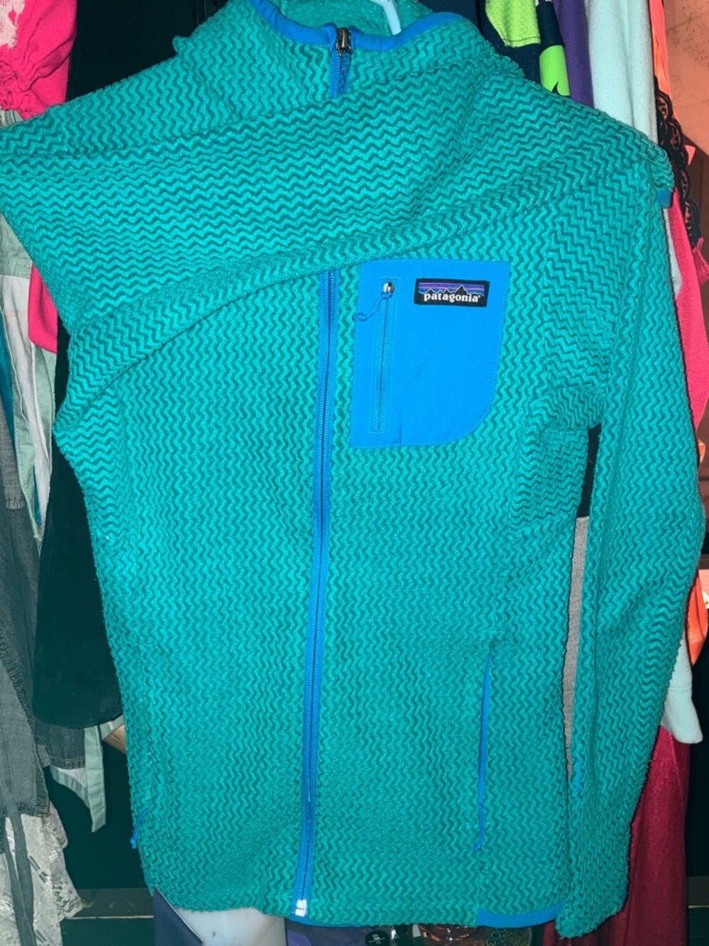 Patagonia Teal Full-Zip Hooded Puffer with Blue Chest Pocket